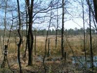 Klik op de foto voor groter formaat